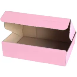 Colour Shipper Box Pink Small